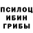 Галлюциногенные грибы Cubensis ARRR13