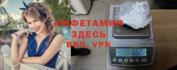 прущие грибы Горнозаводск