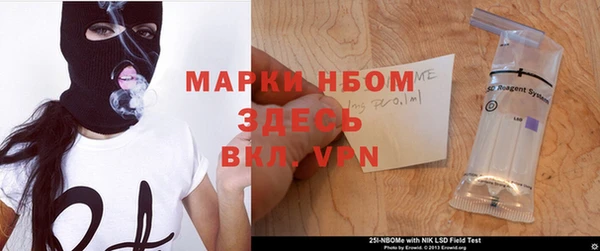 прущие грибы Горнозаводск