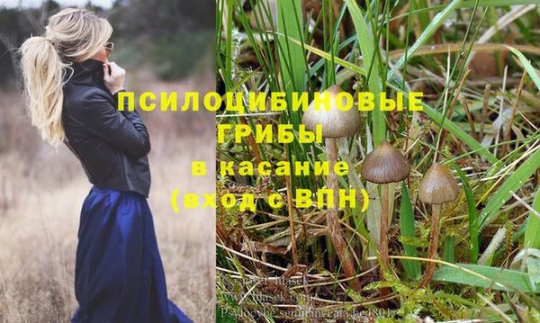 Альфа ПВП Горно-Алтайск