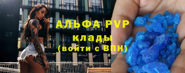 прущие крисы Вязьма