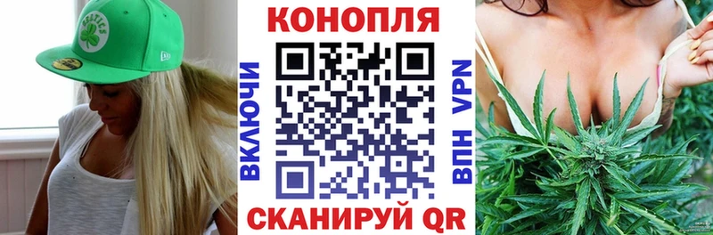 Купить где  Торопец  Канабис OG Kush 